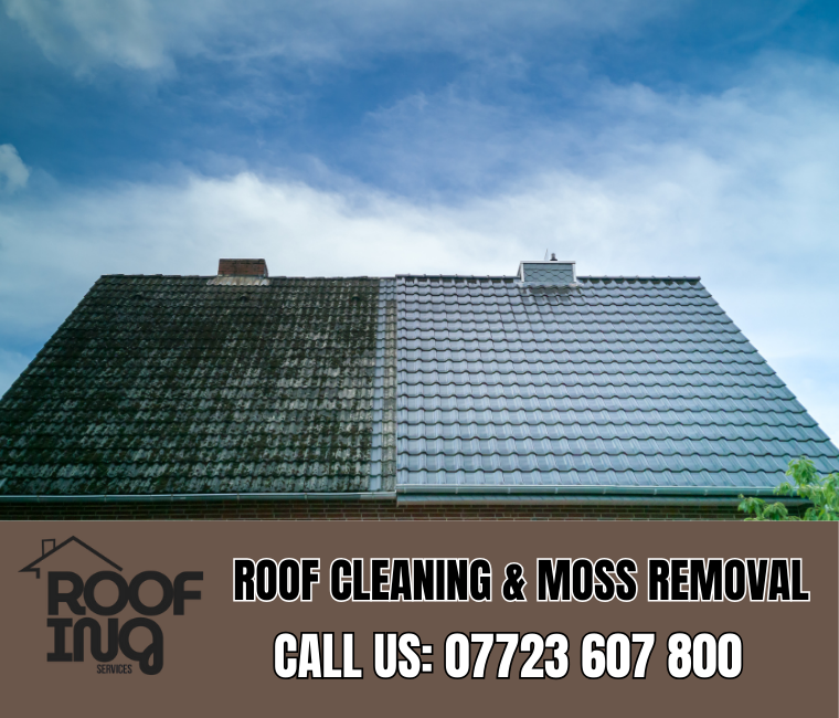 Roof cleaning and moss removal in Port Isaac